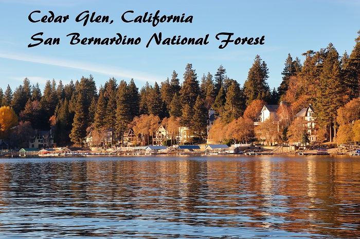 Cedar Glen California San Bernardino National Forest