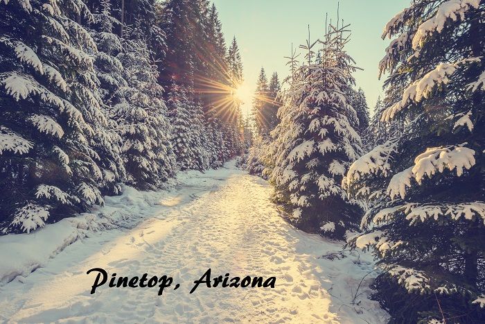Pinetop Arizona